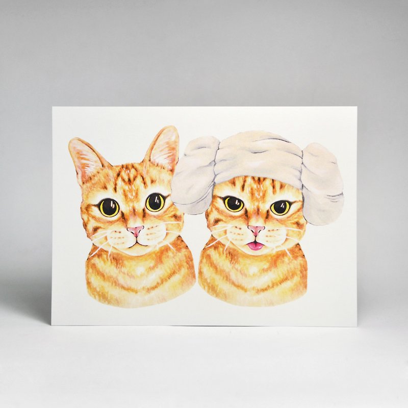 イラストはがき-オレンジ色の猫が一緒にいるとき - カード・はがき - 紙 ホワイト