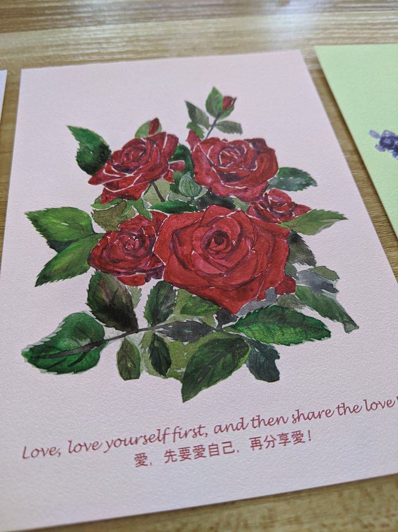 POSTCARDS - Flower - Rose - Cards & Postcards - Paper Multicolor