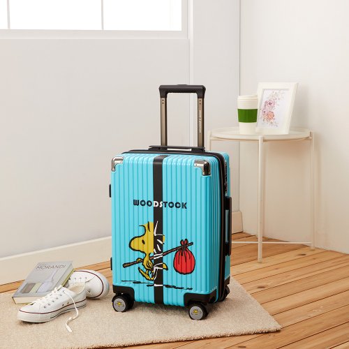 Sreeleathers trolley bags collection with price Clearance