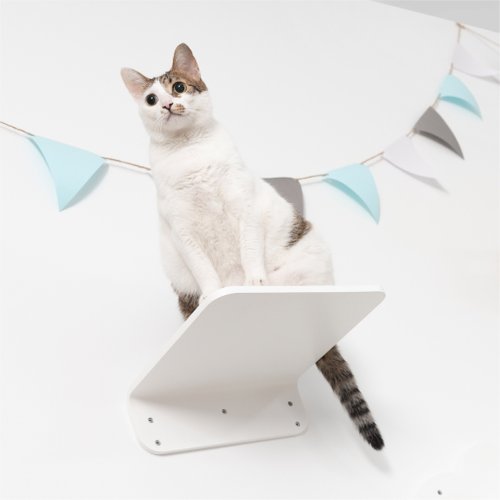 キャットステップ】MYZOO-LACK M WHITE (2PCS) - ショップ MYZOO