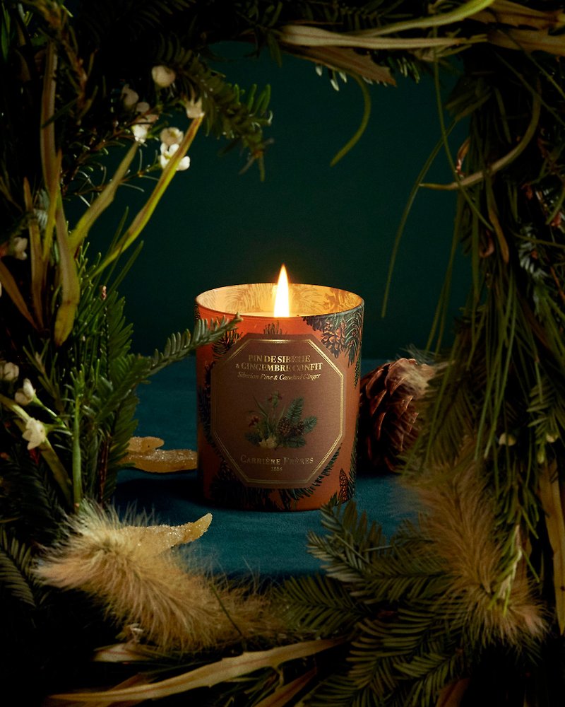 Carrière Frères Siberian cypress x honey ginger candy limited scented candle - เทียน/เชิงเทียน - ดินเผา สีนำ้ตาล