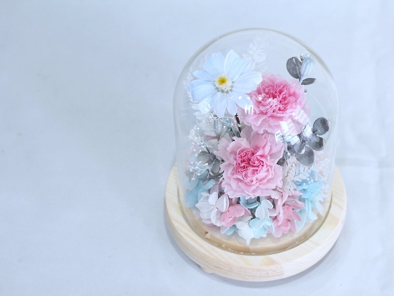 FL017-04  永生康乃馨玻璃罩-粉藍 - 乾花/永生花 - 植物．花 