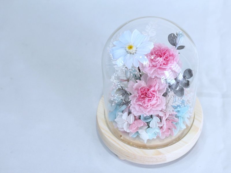 FL185-04 Eternal Carnation Glass Cover-Pink Blue - Dried Flowers & Bouquets - Plants & Flowers 