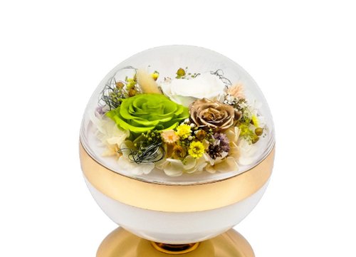 BLAMIAO STUDIO 布洛米奧工作室 花樣時光圓舞燈 - 翡翠綠