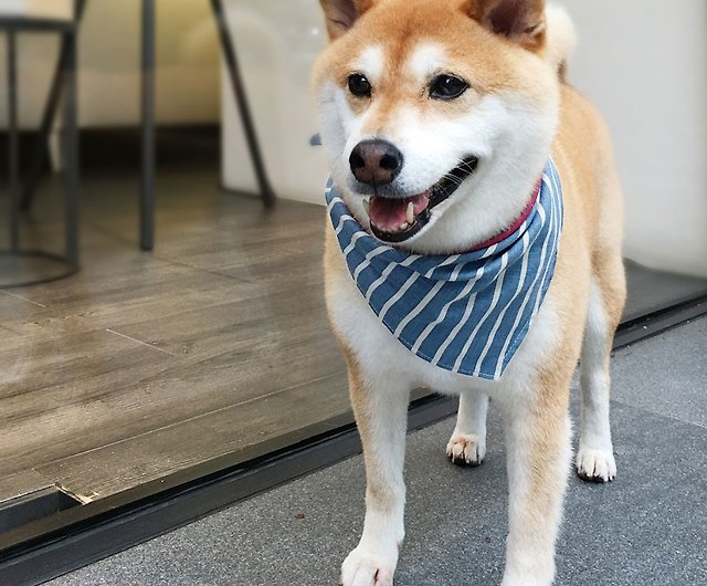 専用犬名スカーフ カスタマイズ 中型犬 日本一の綿リネン粒 ショップ Yiyi Handmade 首輪 リード Pinkoi