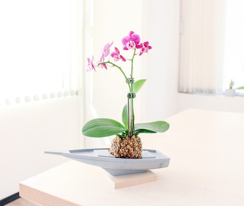 セメント花|清Puの設計モデル：順風満帆|ノー植物 - 観葉植物 - コンクリート グレー