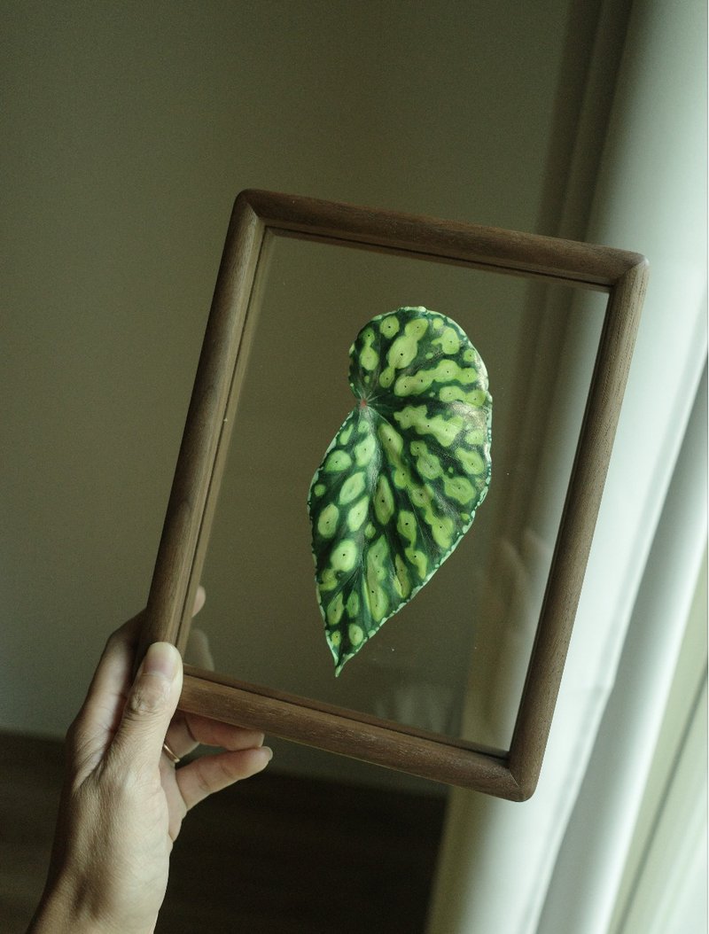 現貨-透明漂浮觀葉胡桃木相框 - 擺飾/家飾品 - 真皮 