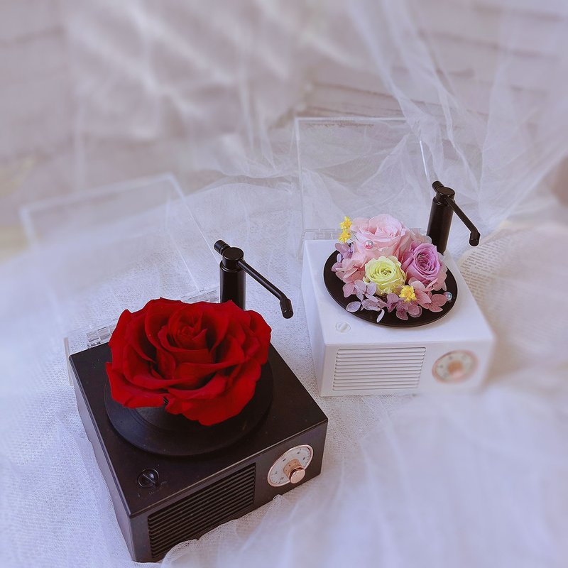 藍芯花藝 永生花藍芽留聲機 情人節 生日 母親節 網美 禮物 藍芽 - 乾燥花/永生花 - 植物．花 多色
