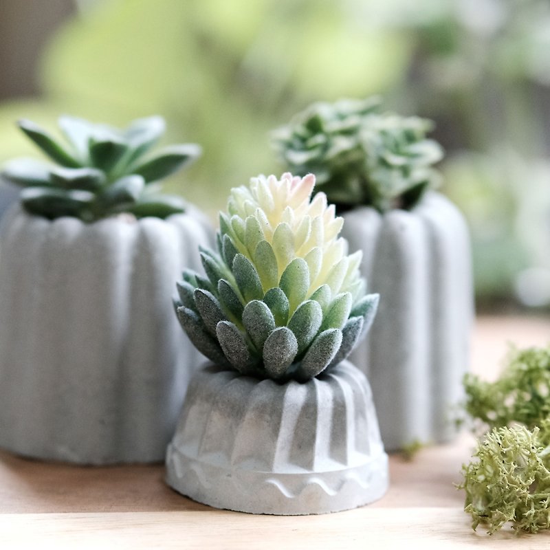 Cake potted simulation fleshy mini Cement chiffon cake diffused Stone dry flower flower flower pot - Fragrances - Cement Gray