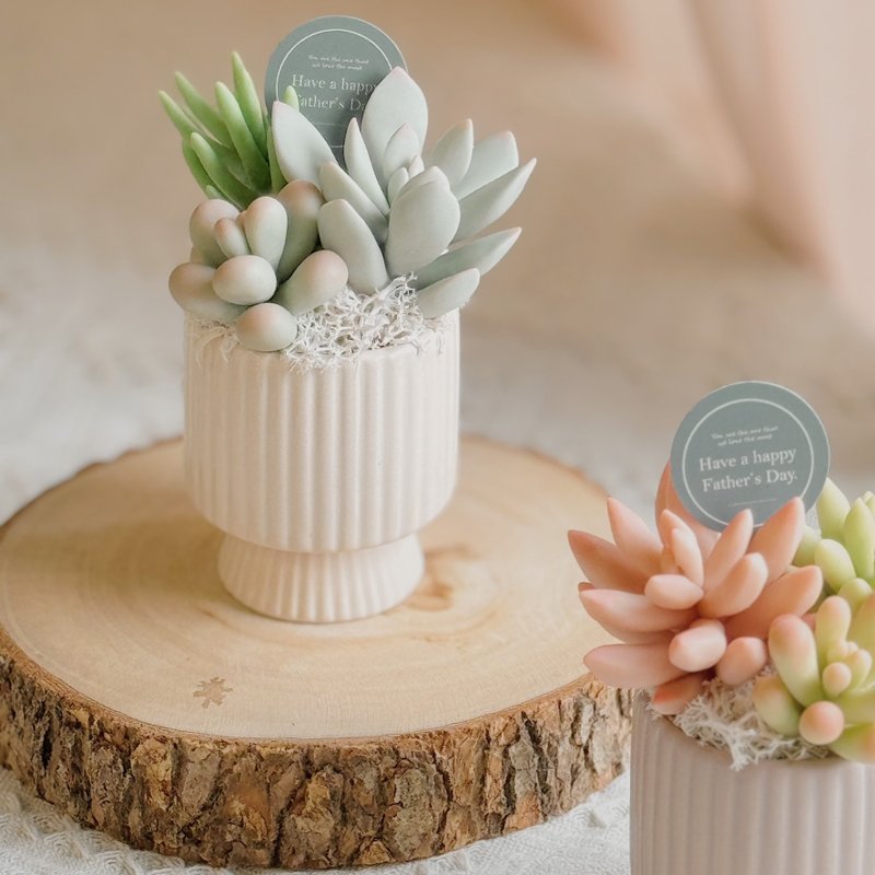 -The first choice for gifts-Clay succulent garden C-1-vertical pattern (small) - ของวางตกแต่ง - ดินเหนียว หลากหลายสี