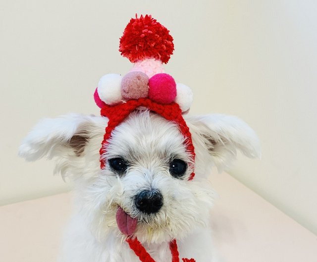 毎日の誕生日 誕生日の帽子 赤と白のグルチナスおにぎり ペット手作りのウールの帽子 犬と猫のヘッドギア 誕生日の大きな髪 ショップ Leeloromantic3031 洋服 帽子 Pinkoi