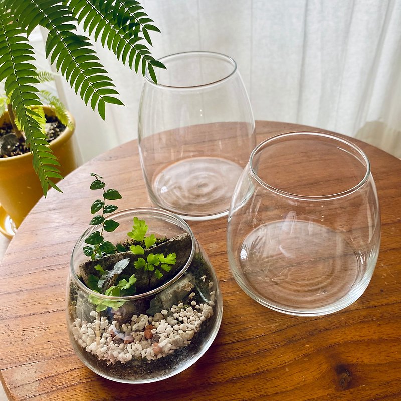 Ecological bottle tapered closed high transparent glass bottle - Plants & Floral Arrangement - Glass 