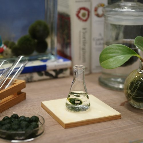 微景設計 燒瓶裡的小綠人 禮物