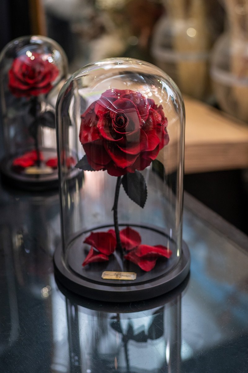 Valentine's Day Flower Gift/Beauty and the Beast Rose Permanent Flower-Ecuador Rose King L - ช่อดอกไม้แห้ง - พืช/ดอกไม้ สีแดง