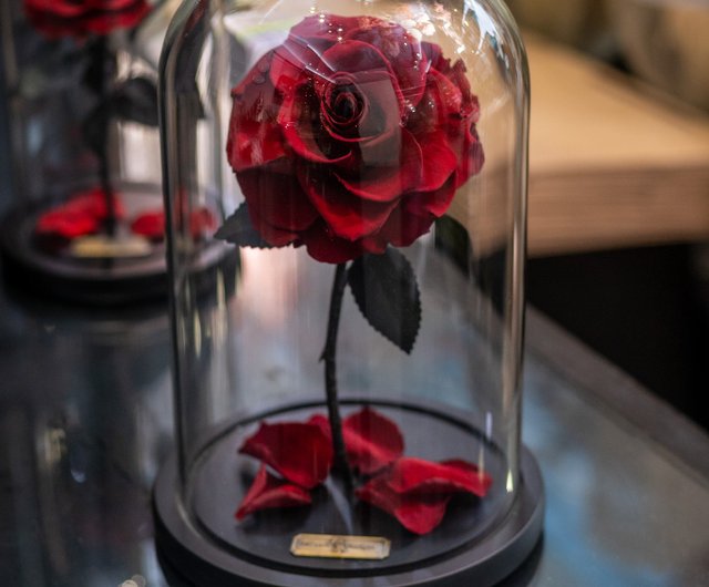 玫瑰七夕814情人節永生不凋花經典不敗美女野獸l厄瓜多玫瑰 設計館印象floraldesign 人人信義店 擺飾 家飾品 Pinkoi