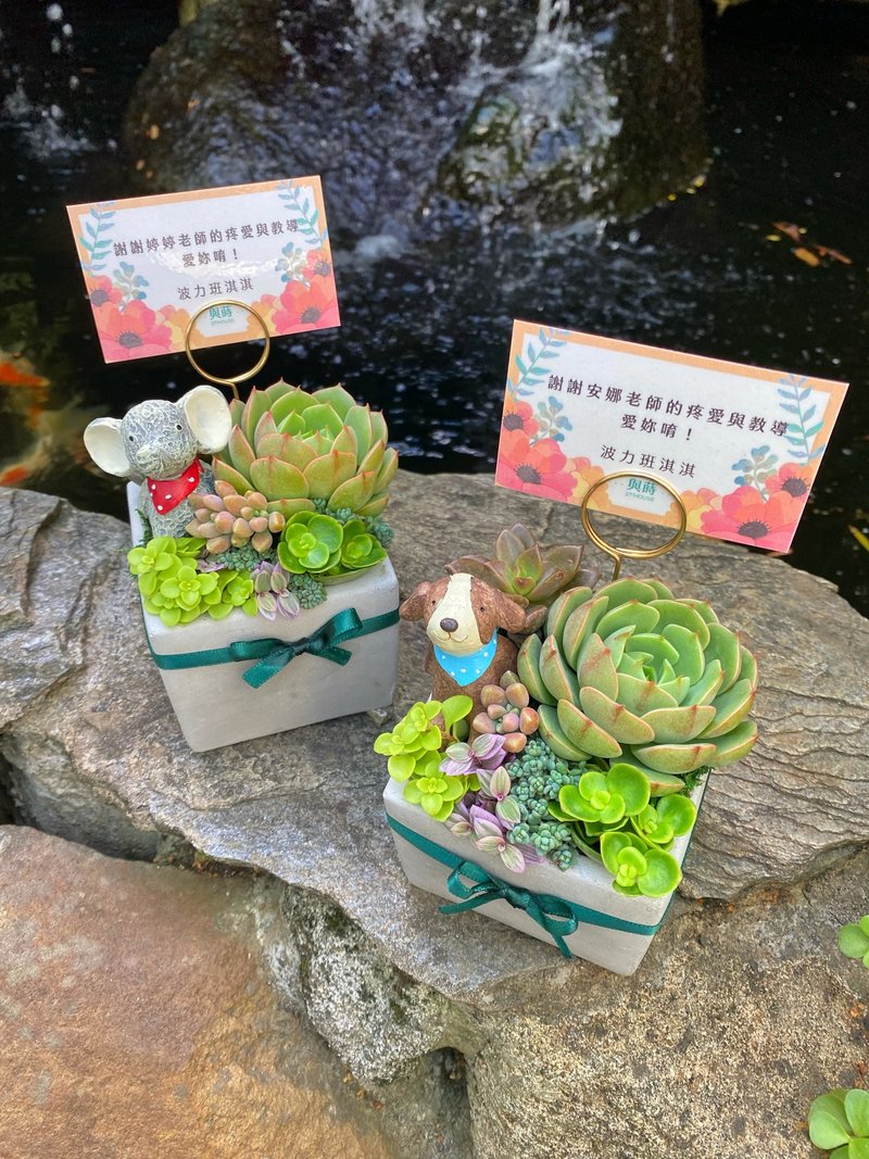 【客訂】方形水泥多肉盆一個+底盤一個+綠色緞帶 - 盆栽/植栽 - 植物．花 白色
