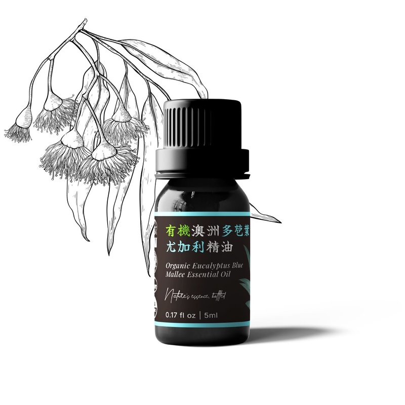 【卡佛香】有機澳洲多苞葉尤加利精油  桉油醇型 - 香氛/精油/擴香 - 玻璃 黑色