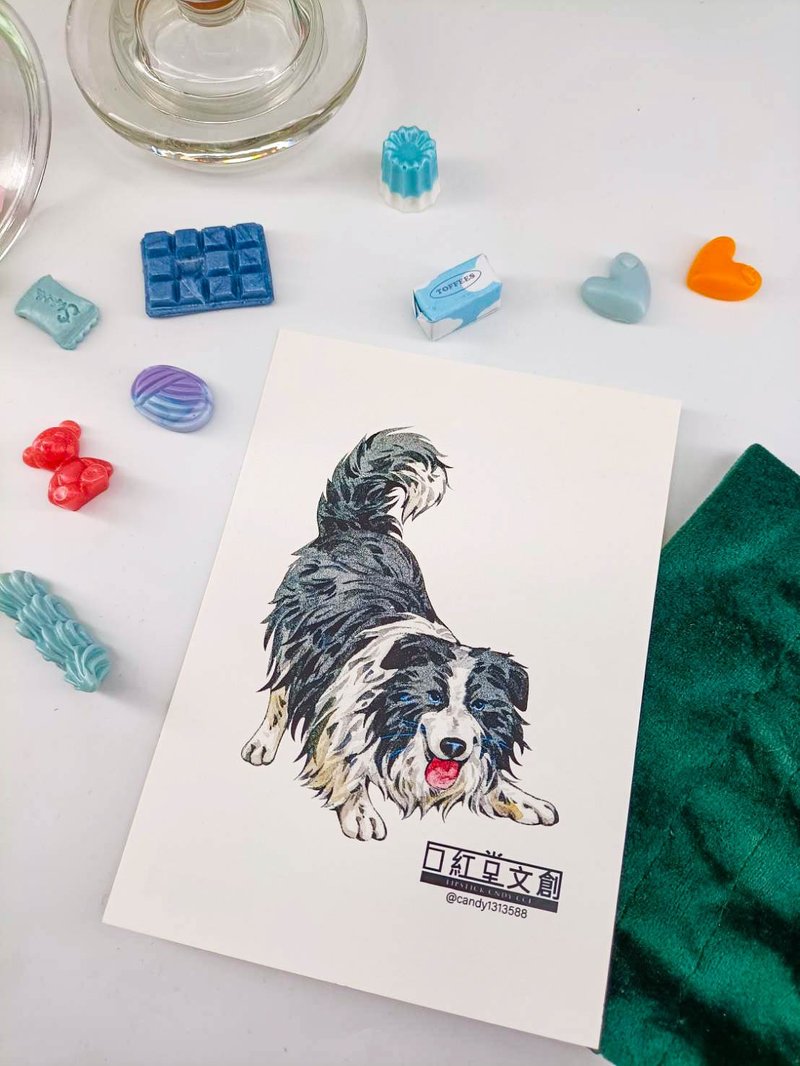 KR474_口紅堂明信片_邊境牧羊犬8_candy1313588 postcard - 卡片/明信片 - 紙 多色