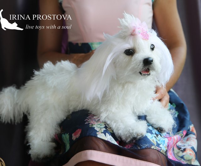 マルチーズ ぬいぐるみ Amazon.co.jp: [fun costumes] 犬 いぬ マルチーズ ぬいぐるみ