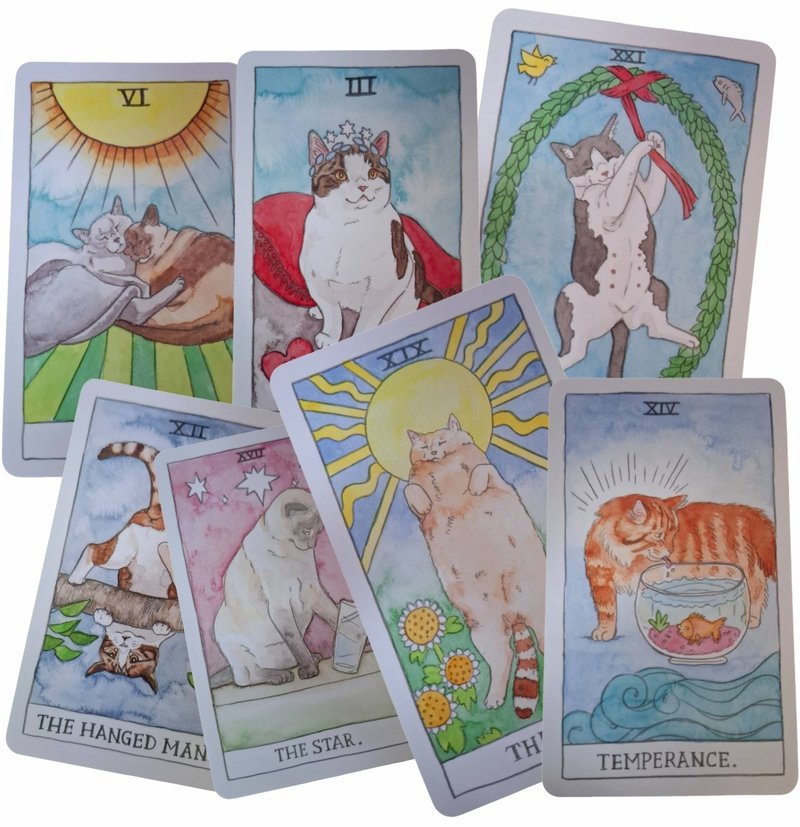 One-on-one small class teaching cat tarot card divination course 16 classes 30,000 yuan - ถ่ายภาพ/จิตวิทยา/งานสัมมนา - วัสดุอื่นๆ 