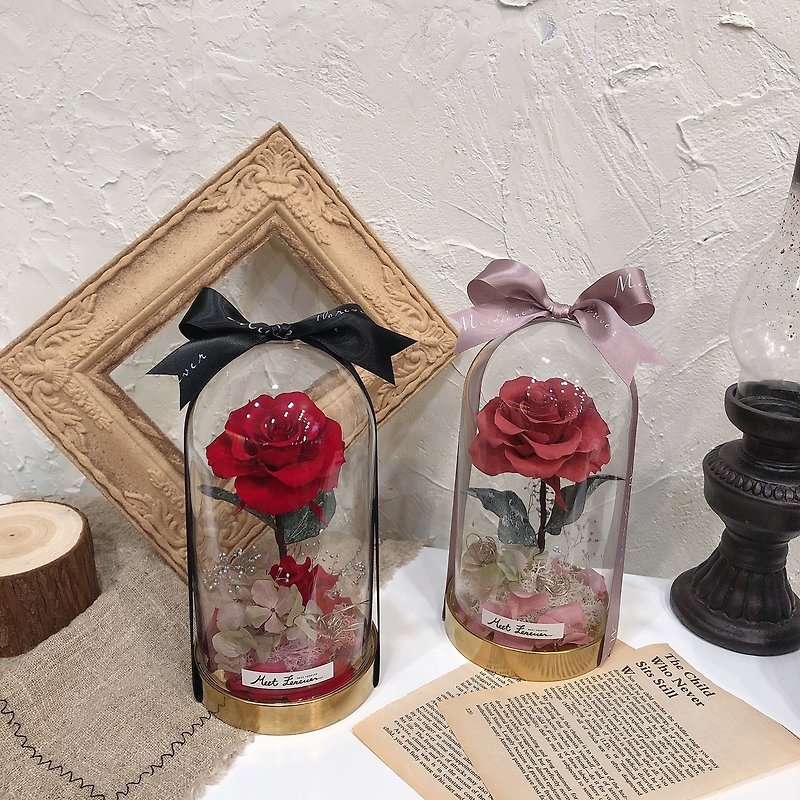[Meet the Eternal] True Love Magic Eternal Rose Glass Cover with a Box of 4 - Dried Flowers & Bouquets - Plants & Flowers 