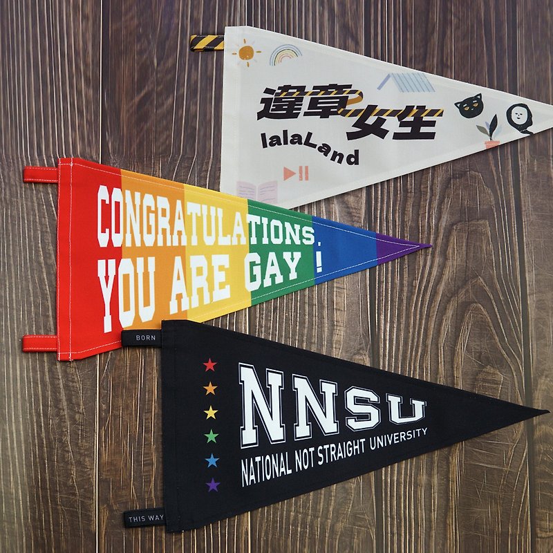 Pennant_Daily Household Decorations Camping All-match Rainbow Flag_Illegal Girls x Writing Practice - Wall Décor - Polyester Multicolor