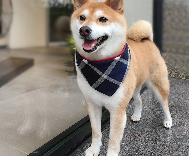 犬専用名スカーフ カスタマイズ 中型犬 大きなブルー格子縞 ショップ Yiyi Handmade 首輪 リード Pinkoi