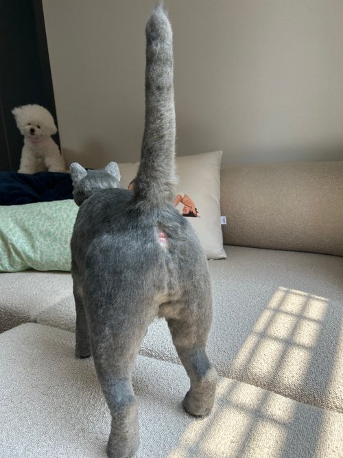 アートドール 黒猫 ロシアンブルー リュック ぬいぐるみ 猫 リアル 楽天市場】リアル ねこ リュックサック ぬいぐるみ リュック