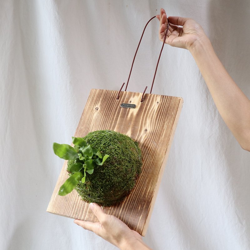 植栽體驗課 DIY材料包+影片 - 盆栽/花藝 - 其他材質 綠色