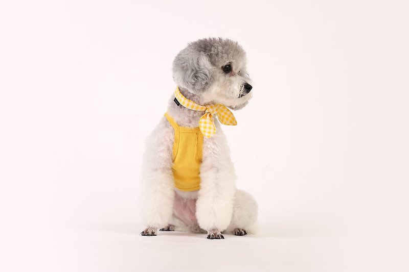 Gelato寵物無袖背心(Yellow) - 寵物衣服 - 棉．麻 橘色