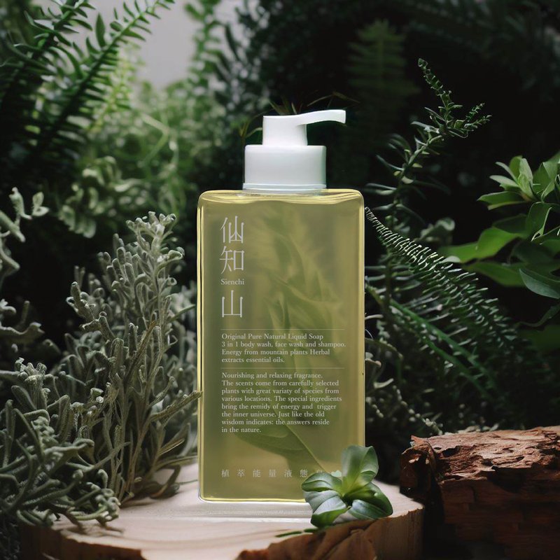 仙知山 靈艾植萃液態皂 限時買一送一  (洗沐三合一 洗臉 淨化) - 沐浴乳/沐浴用品 - 其他材質 