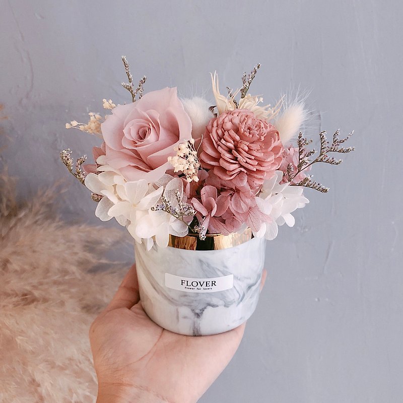 Light powdered eternal potted flower - Items for Display - Plants & Flowers 