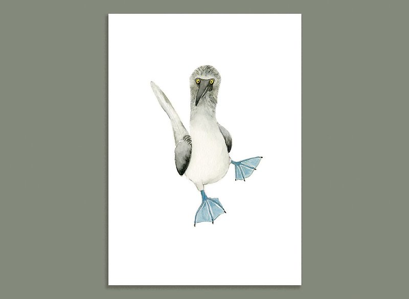 Yu Kee Paper Products/ Blue-footed Boobies/ Hand-painted Postcards - Cards & Postcards - Paper 