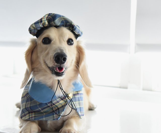 ブリティッシュベレー帽 ケープセット スカイブルー ブリティッシュブルー 犬 猫 うさぎに最適 Zazazoo ショップ Zazazoo 洋服 帽子 Pinkoi