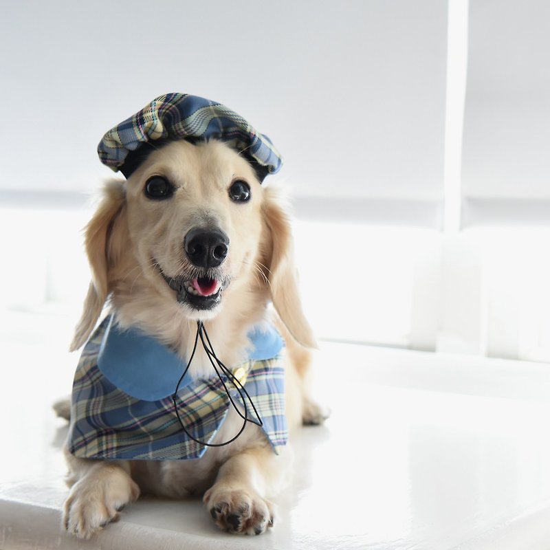 【ブリティッシュベレー帽＋ケープセット】スカイブルー/ブリティッシュブルー-犬・猫・うさぎに最適--ZAZAZOO - 洋服・帽子 - コットン・麻 ブルー