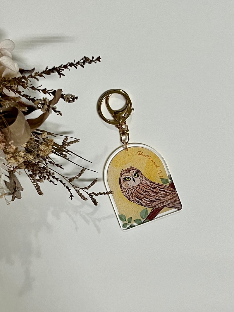 Taiwan Owl Acrylic Keychain-Short-eared Owl - ที่ห้อยกุญแจ - พลาสติก หลากหลายสี