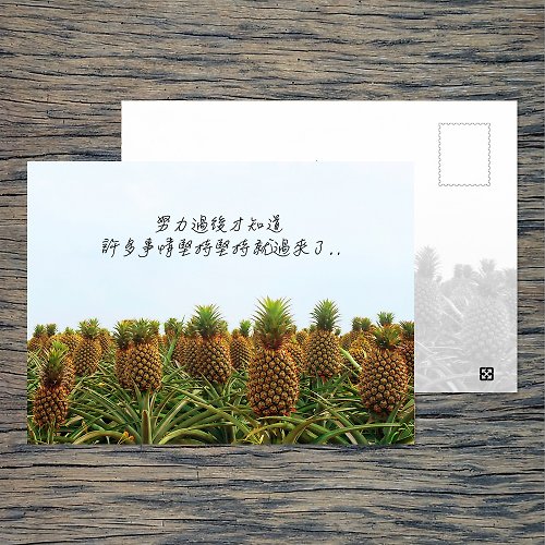 臺灣明信片製研所 - 啵島 Lovely Taiwan Postcard No.B12明信片 / 堅持下去 / 任選買10送1