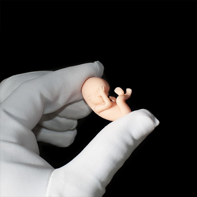 Fetus 11 weeks - 公仔模型 - 其他材質 