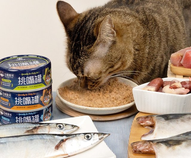 Is fresh fish good hotsell for cats