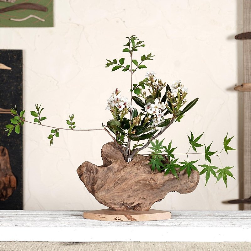 Why not display your favorite flowers Driftwood vase, flower base, single flower - Pottery & Ceramics - Wood Brown