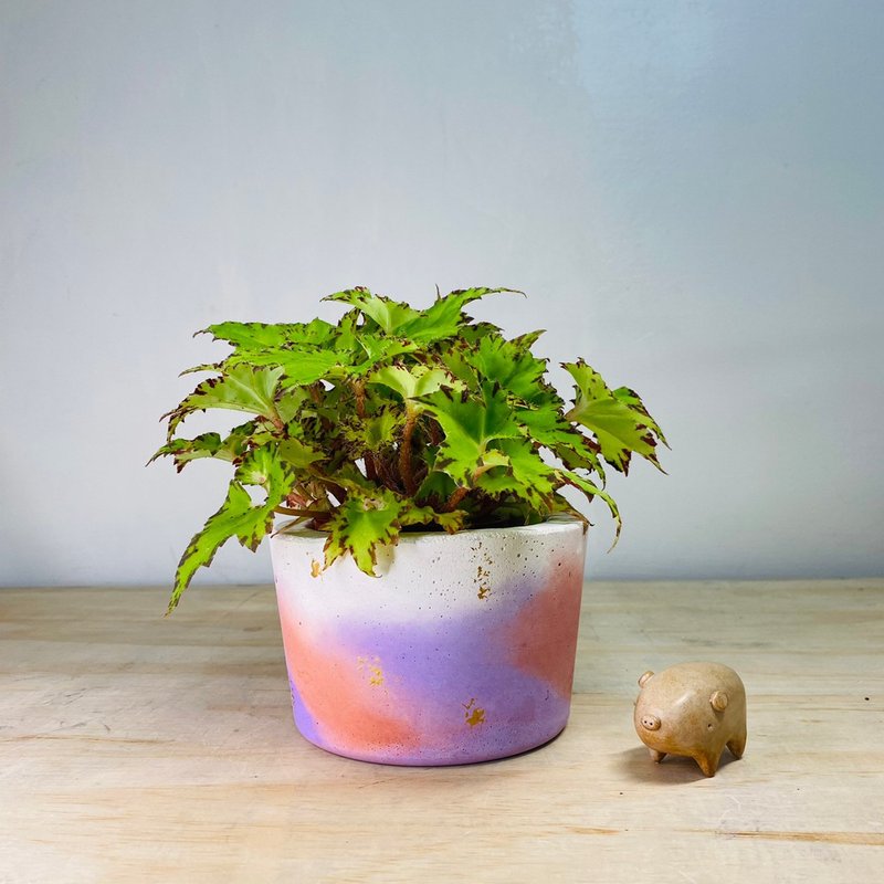 限量單品 手作厚實單品夢幻漸層紅紫色水泥盆 - 盆栽/植栽 - 水泥 多色