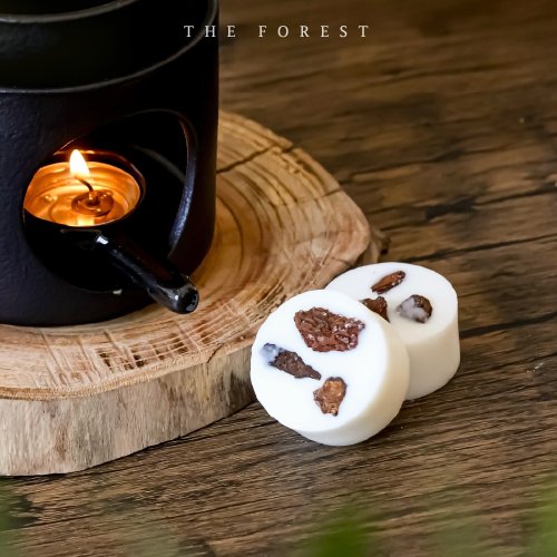 癒森林 The Forest 癒創木手工香氛蠟塊4入組