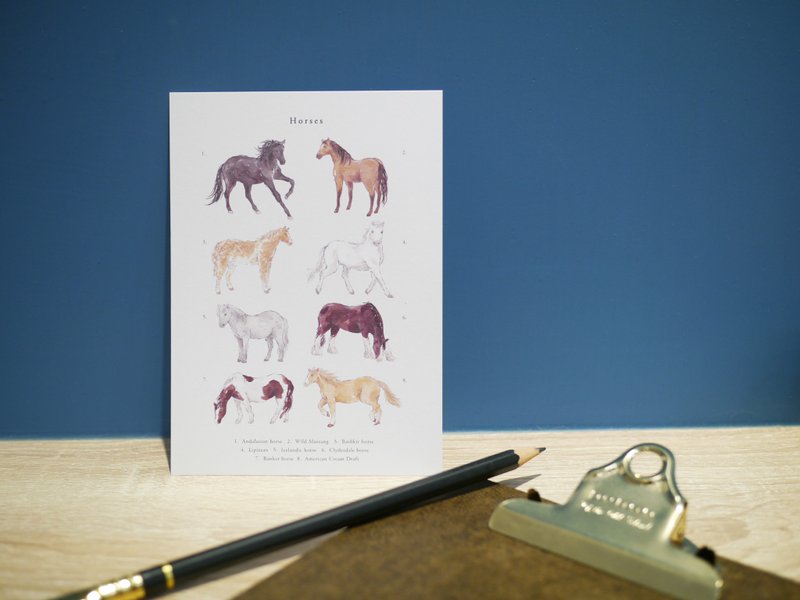 horse animal postcard - การ์ด/โปสการ์ด - กระดาษ 