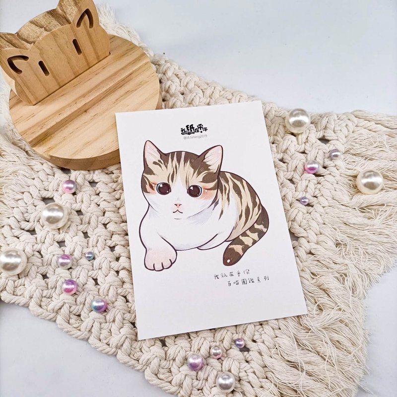 ME182-A79_我紙在乎你百喵圖鑑系列明信片_ill.timing Hundred meow cute postcard - Cards & Postcards - Paper Multicolor