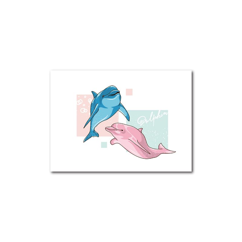 Dolphin / postcard