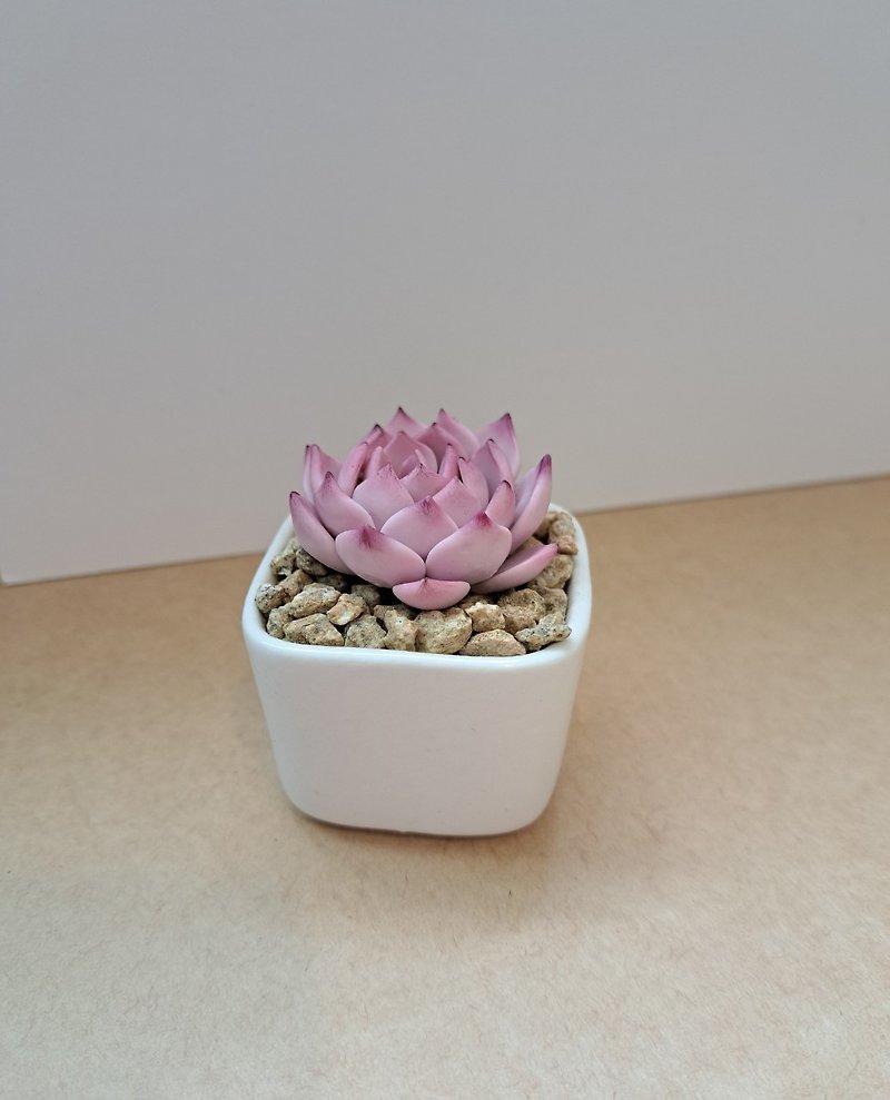 #一根# Nuremberg Purple Pearl - Clay Succulents - Handmade Version 1 - Plants - Clay Purple