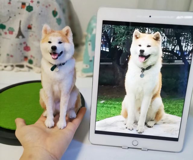 ＊羊毛フェルト＊うちのこオーダー うちの子オーダー 羊毛フェルト 制作（わんこ限定/愛犬の顔わた