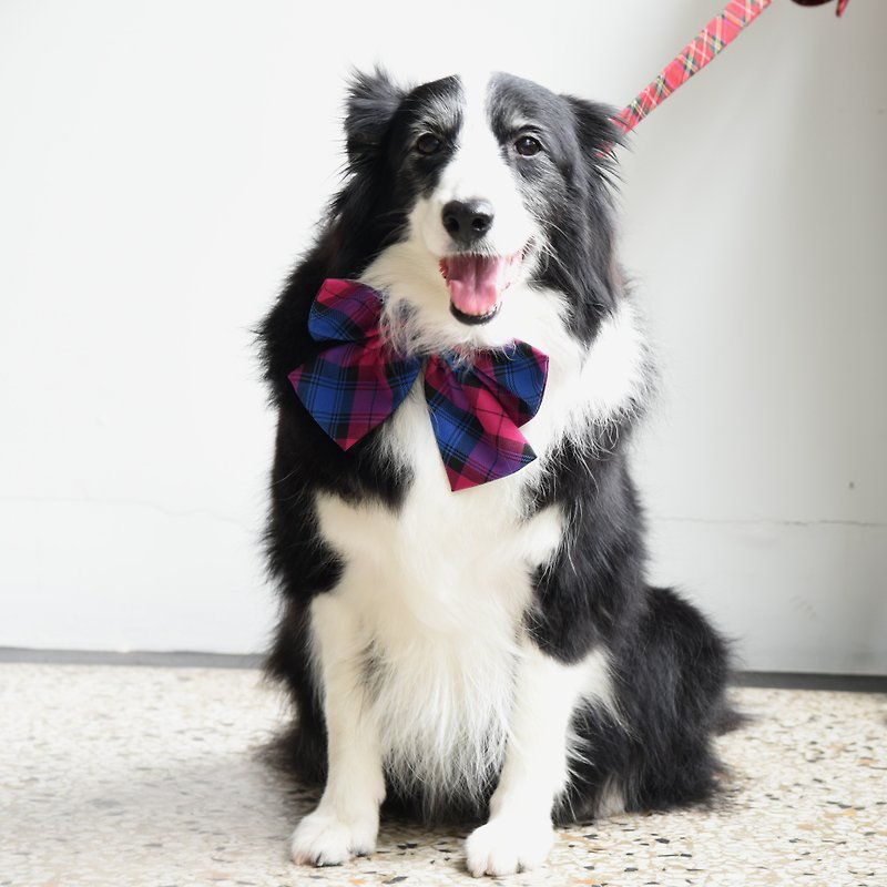 Handmade Tartan/ Plaid Pet Dog Collar Accessory - XL Bowtie【ZAZAZOO】 - Collars & Leashes - Cotton & Hemp Multicolor