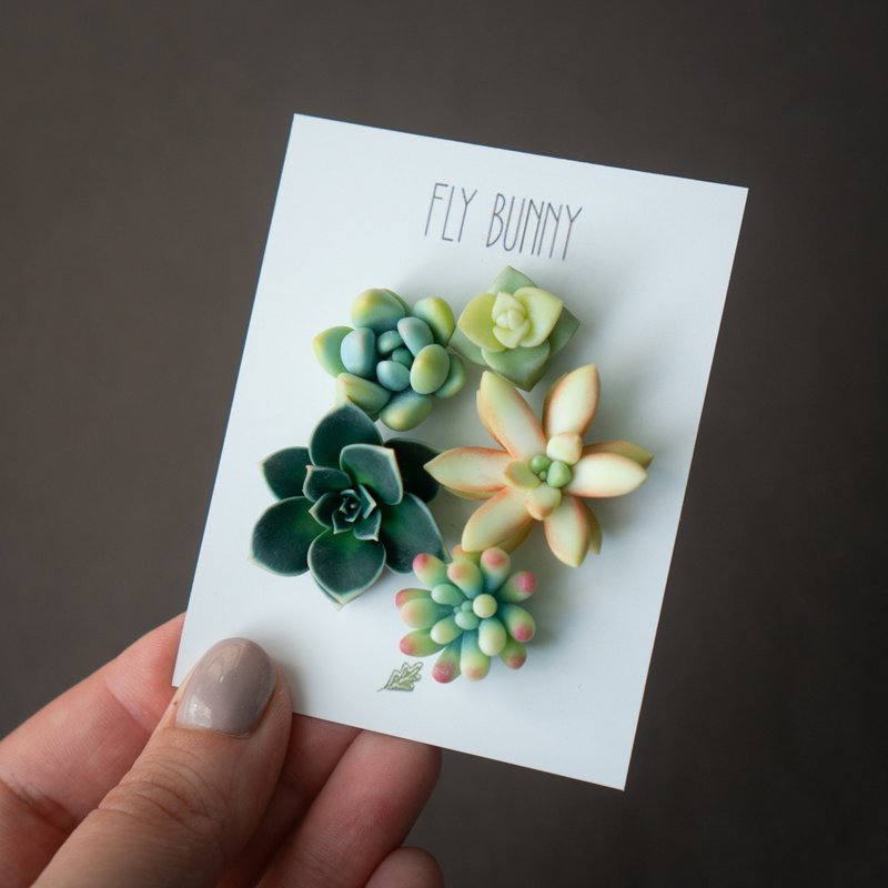 Succulent brooch set Firecrest - 胸針 - 其他材質 多色