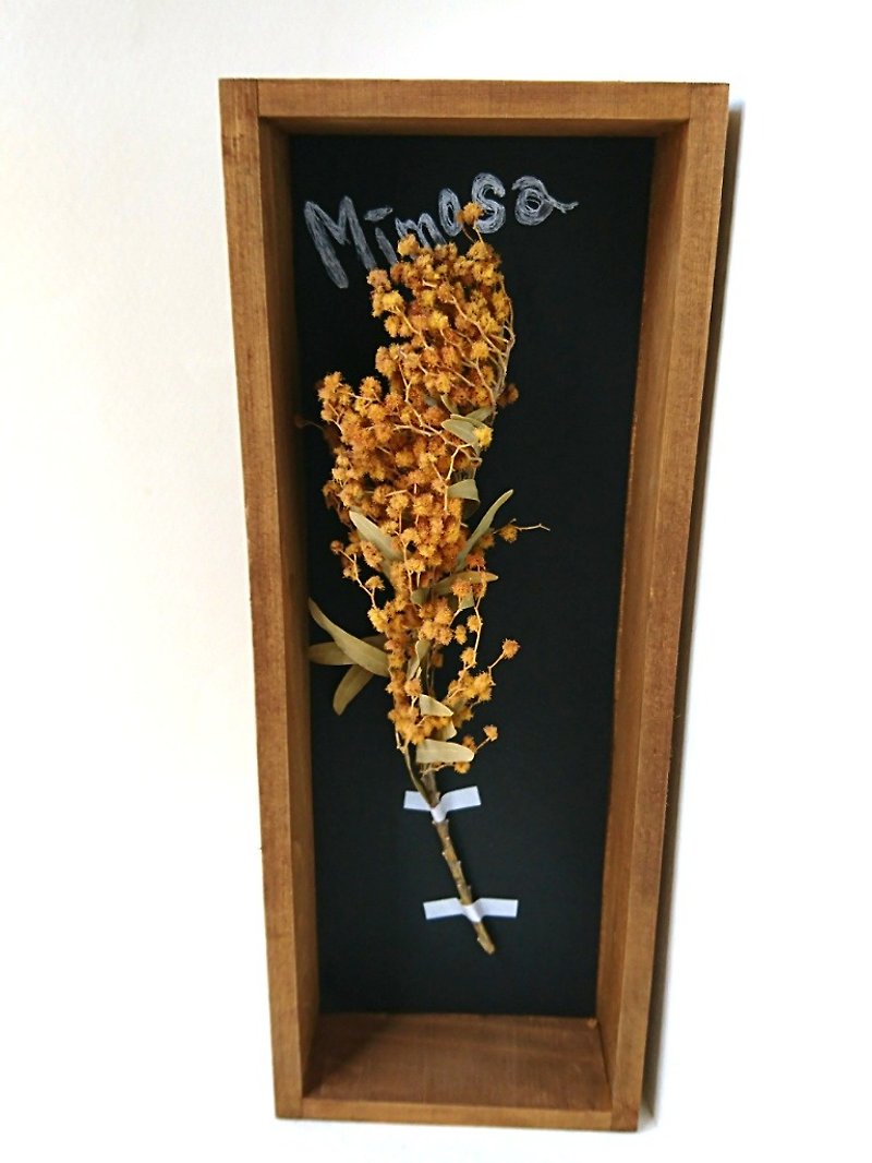 Plant specimen box dry flower (mimosa version.) - Wall Décor - Wood Yellow